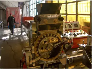 Half automatic Sugar Molding Machine