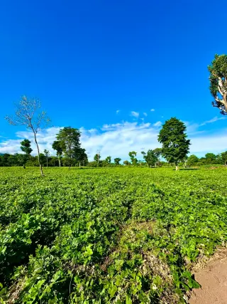 Lotes residenciales con financiamiento y libre construcción en El Salvador