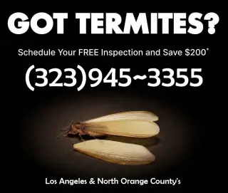 TERMITE HOME INSPECTOR EN SU AREA.-