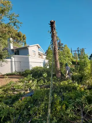 E&T Lawn Maintenance and Tree Trimming
