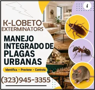 FUMIGACIONES PERSONALES CERTIFICADOS ESTADO CALIFORNIA