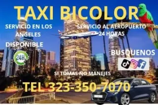Servicio de Taxi
