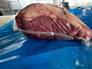 Venta de Carne Fresca - ¡Precios Bajos!