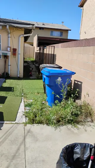 Corte de pasto limpieza con sopladora
