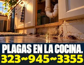 FUMIGACIONES 24/7 LOS ANGELES COUNTY