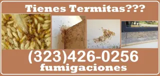 INSPECTORES TERMITAS LOS ANGELES.- 24/7.-