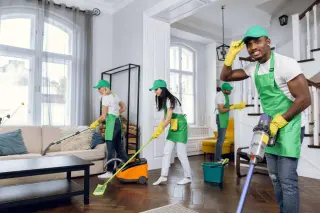 Servicios profesionales de limpieza.