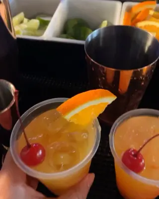 Bartenders y Meseros