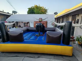 WATER SLIDES*TOROS MECANICIS*CARPAS*****