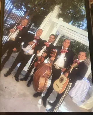 🎺🎺MARIACHI LOS POTRILLOS 🎻