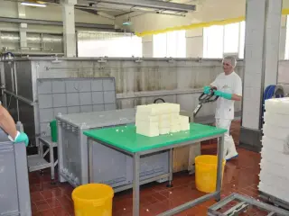 Trabajo General (Fabrica de Comida)- Pomona