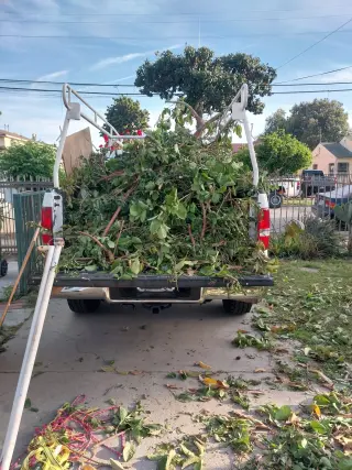 Erick's junk removal