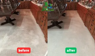 Limpieza de Sofa y Alfombra