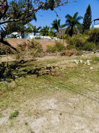 Lote Amelia