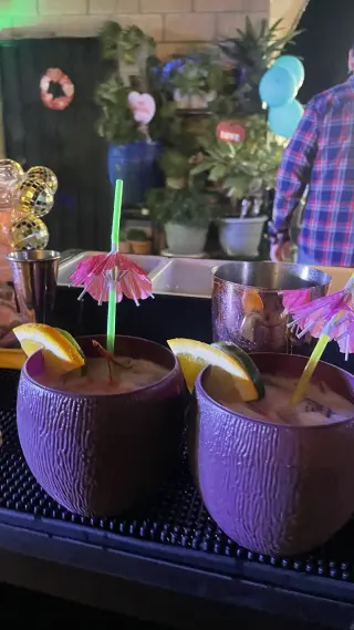 Bartenders y Meseros