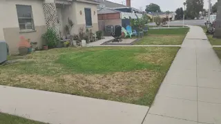 Corte de pasto limpieza con sopladora
