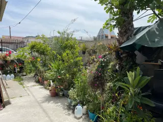 !! MOVE-IN-SPECIAL !! Remodeled Studios in the Heart of Koreatown