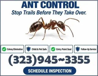 FUMIGACIONES 24/7 LOS ANGELES COUNTY