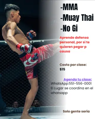 Clases de MMA, Muay Thai y No Gi