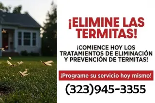 FUMIGACION TERMITAS MAYWOOD