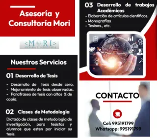 Asesoria y Consultoria en tesis de pregrado y posgrado