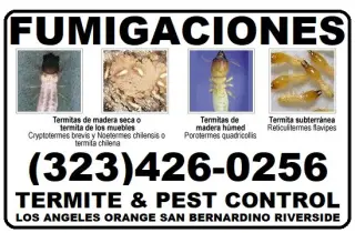 Fumigaciones Termitas Los Angeles
