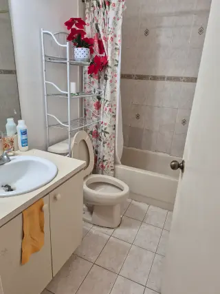 Habitation for rent