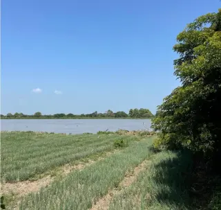 Predio Rural 3ha, frente río Magdalena, Barranquilla a 10Km -  $230.000 COP/m2