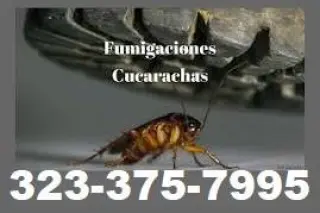 FUMIGACIONES - CASA RESIDENCIAL