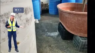 El ERROR en Pisos Industriales que destruye tu Planta