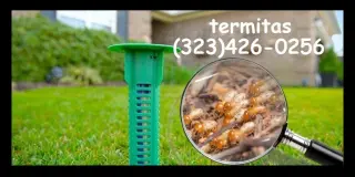 Fumigaciones Termitas Los Angeles