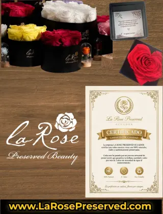 WholeSale Eternal Roses Supplier Exporters Ecuador Premium Preserved Roses