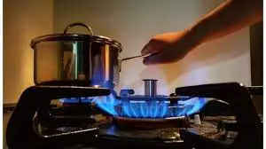 SERVITÉCNICOS HACEB CALI - REPARACIÓN MANTENIMIENTO DE ESTUFAS Y HORNOS A GAS