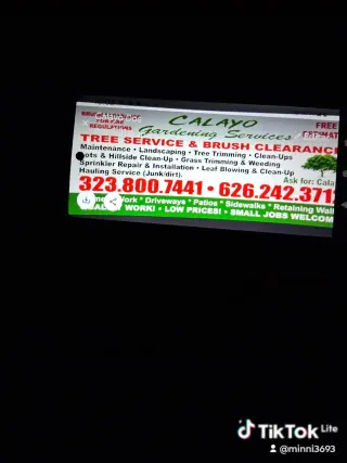 Sejarvicios Profesionales de Jardinería y Árboles