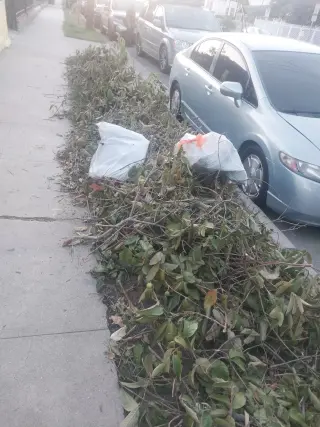Erick's Junk Removal