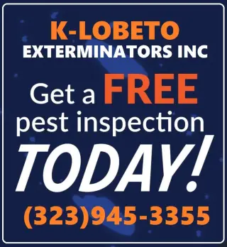 FUMIGACIONES 24/7.- RESIDENCIALES Y COMERCIALES.-