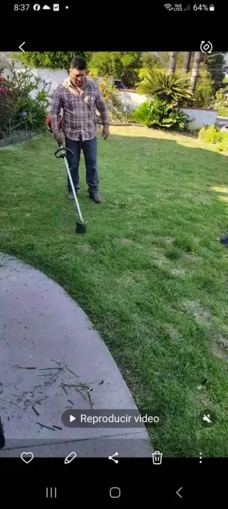 Servicios de Jardinería Profesionales