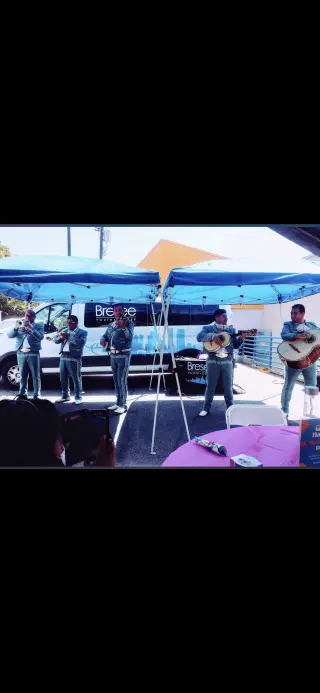 🎺🎺MARIACHI LOS POTRILLOS 🎻
