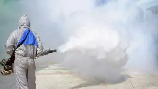 FUMIGACION 100% GARANTIZADA