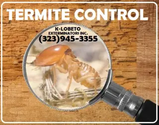 TERMITE TENT FUMIGATION OR LOCAL TREATMENT LOS ANGELES
