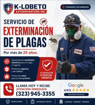 REMOVEMOS PANALES ABEJAS - AVISPAS 24/7.- FUMIGACIONES