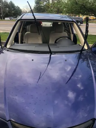 Chihuas Autoglass