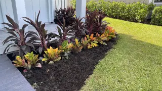 Servicio de jardineria y limpieza