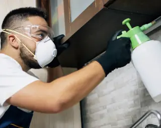 exterminator de plagas 100%100 garantizado