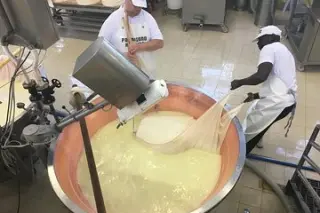 Operador de Maquina-Comida