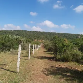 VENTA TERRENO 1100M2 EN LA FUENTE A 15 MINUTOS DEL AEROPUERTO