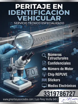 Montes y asociados gestoria vehicular
