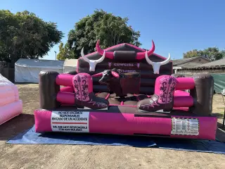 Mechanical bull , toro mecanicos , portable potty, party supplies