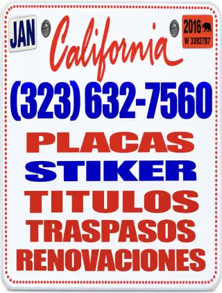DMV SERVICIOS