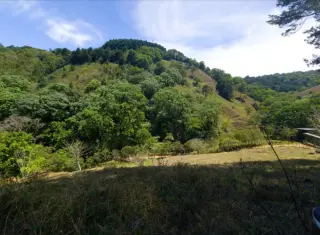Terreno en Venta con Vistas Impresionantes a las Montañas